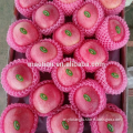 Yantai 2017 Fresh Apple Blush Fuji